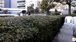 妈妈的女儿系列-大奶子Reagan Foxx教Lena Paul伺候她的火辣继兄